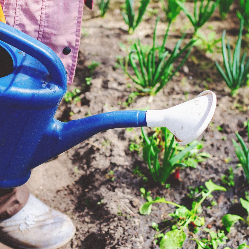 Návrh bez názvu (20)